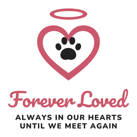 Dog Memorial