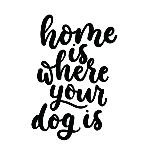 Home Is Where Your Dog Is