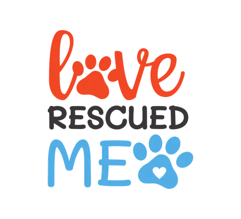 Love Rescued Me