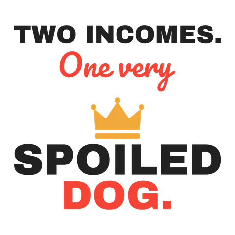 Two Incomes One Spoiled Dog