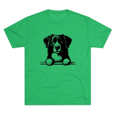 Peeking Australian Shepherd Tri-Blend Tee