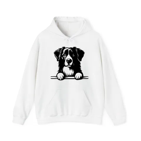 Peeking Australian Shepherd Hoodie